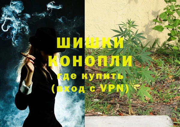 стаф Заволжье