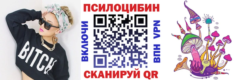 Псилоцибиновые грибы Psilocybine cubensis  Купить закладки  Бугульма 