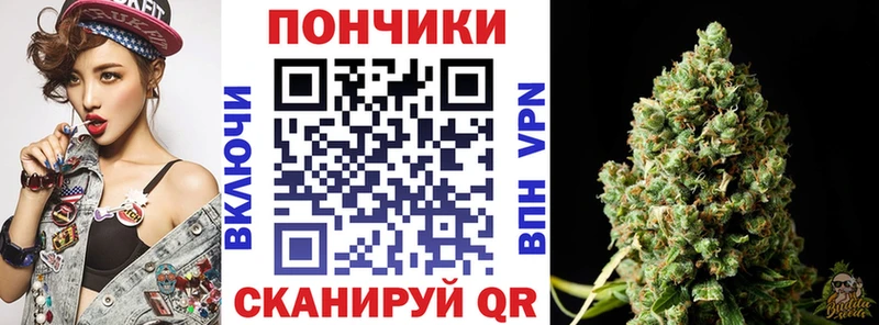 Бошки Шишки SATIVA & INDICA  Купить закладки  Бугульма 